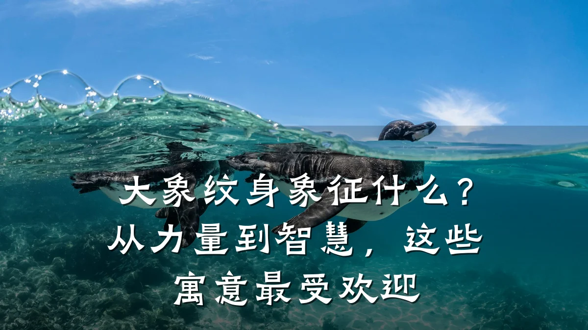 大象纹身象征什么？从力量到智慧，这些寓意最受欢迎
