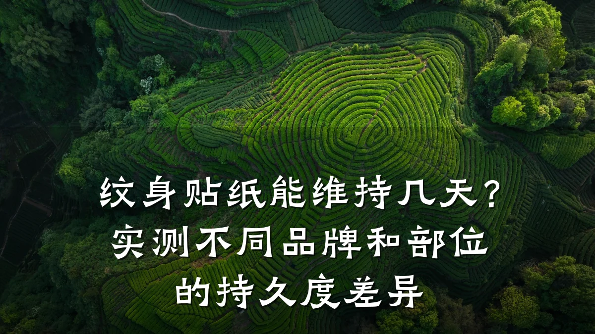 纹身贴纸能维持几天？实测不同品牌和部位的持久度差异