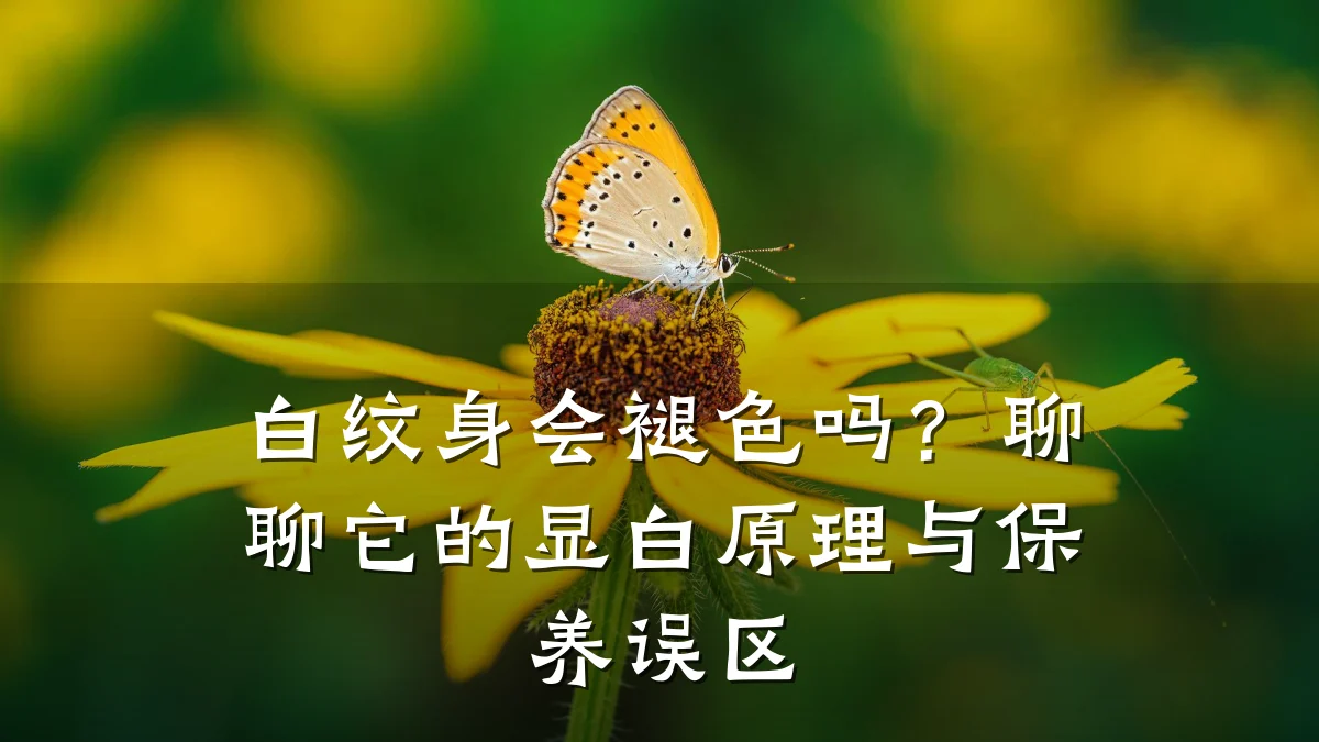 白纹身会褪色吗？聊聊它的显白原理与保养误区