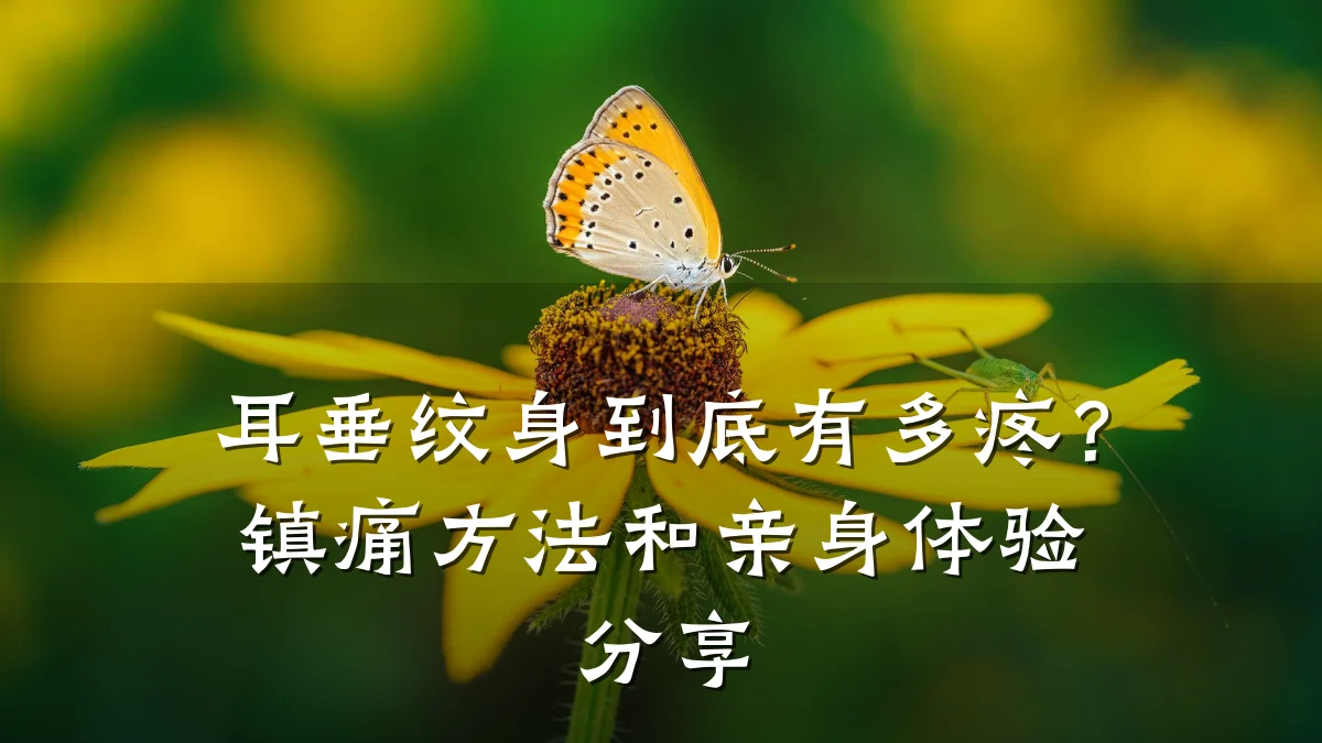 耳垂纹身到底有多疼？镇痛方法和亲身体验分享