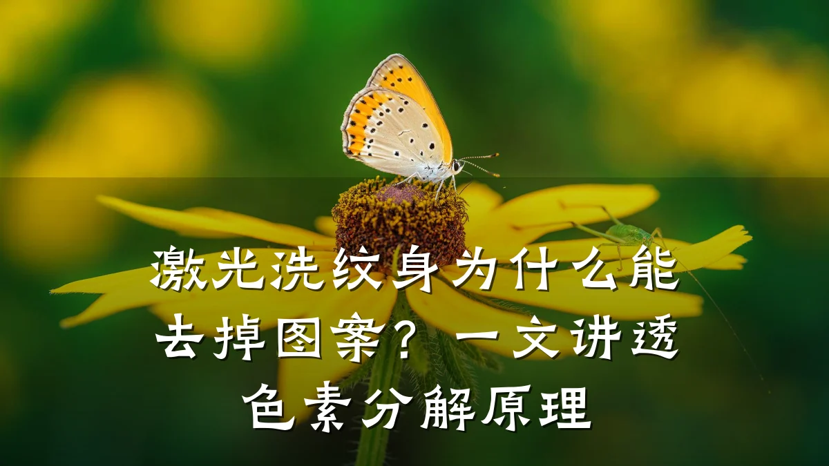 激光洗纹身为什么能去掉图案?一文讲透色素分解原理