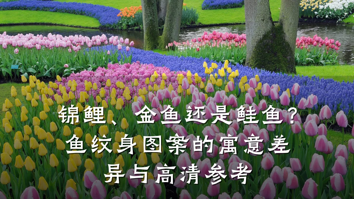 锦鲤、金鱼还是鲑鱼?鱼纹身图案的寓意差异与高清参考