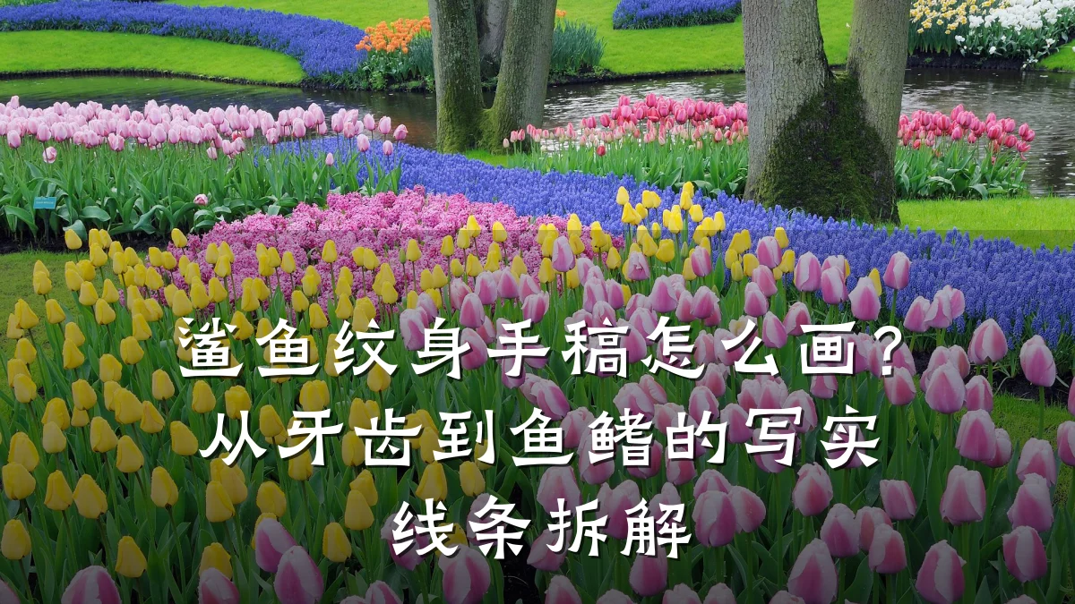 鲨鱼纹身手稿怎么画？从牙齿到鱼鳍的写实线条拆解