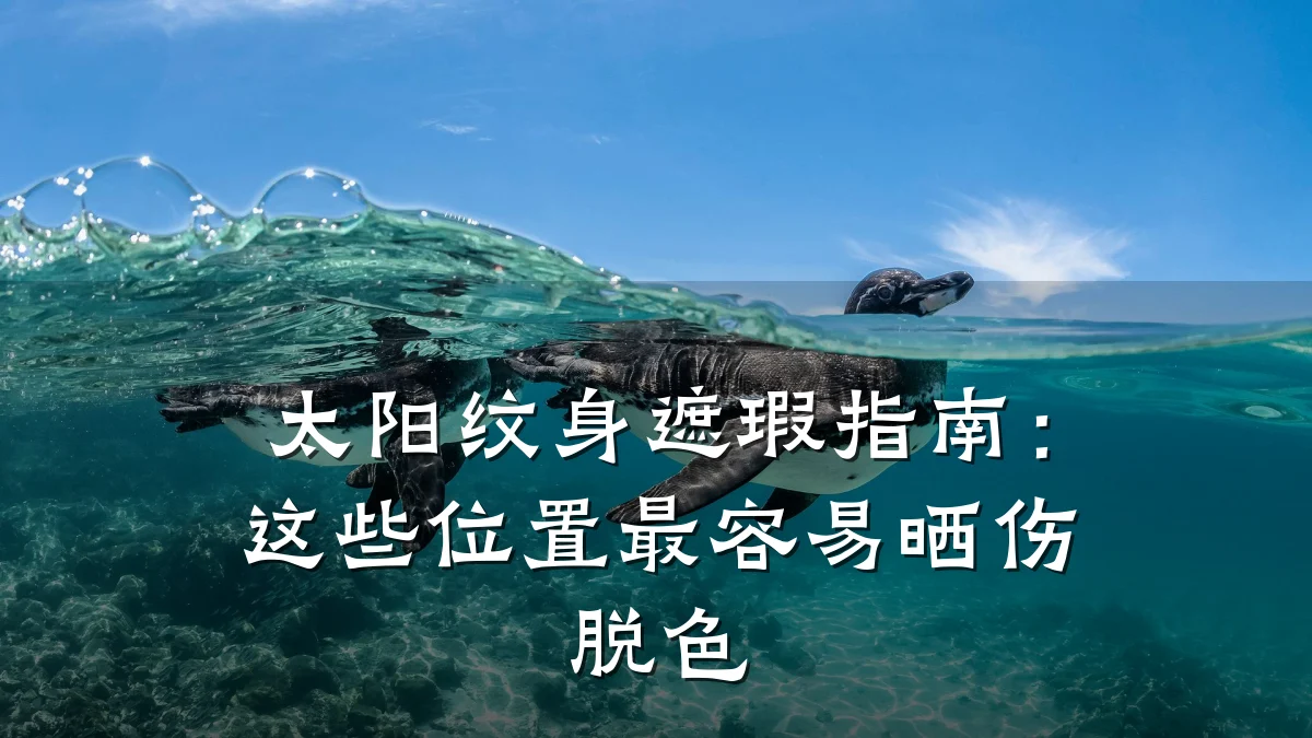 太阳纹身遮瑕指南：这些位置最容易晒伤脱色