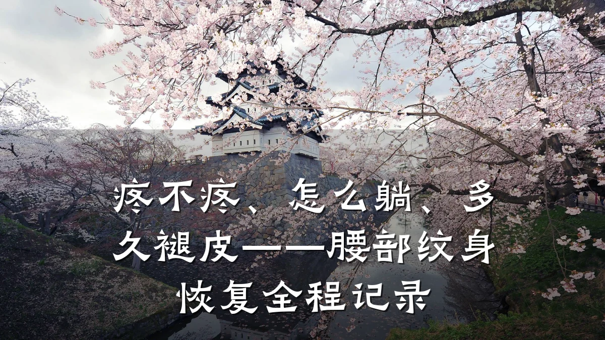 疼不疼、怎么躺、多久褪皮——腰部纹身恢复全程记录