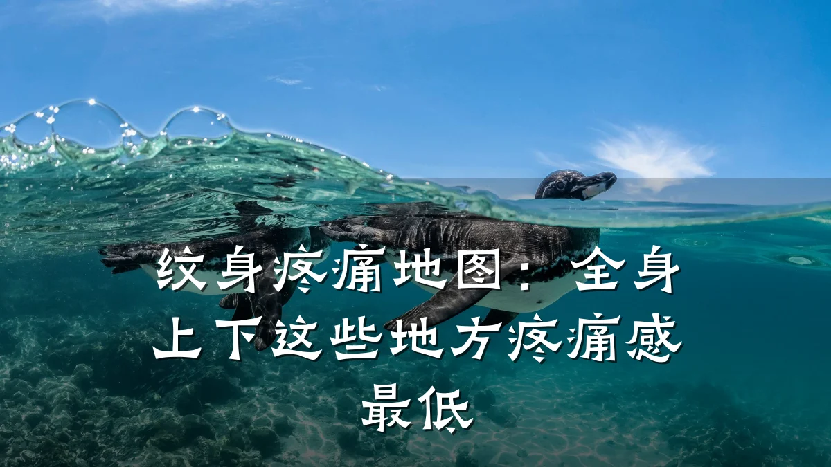纹身疼痛地图：全身上下这些地方疼痛感最低